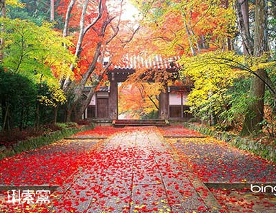 CСԄС-صƽWվ܏ƵĆ}