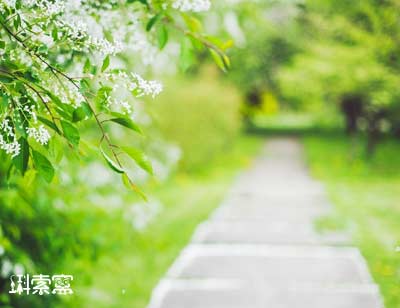 q282ļˎŔɱP3.55|Ԫ